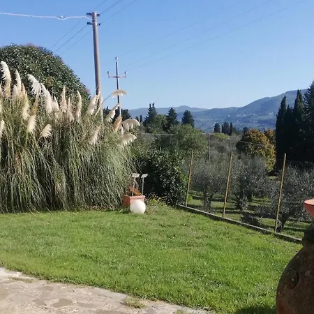 Le Statue * Florencie