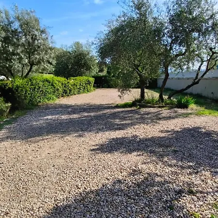 Le Statue * Florence